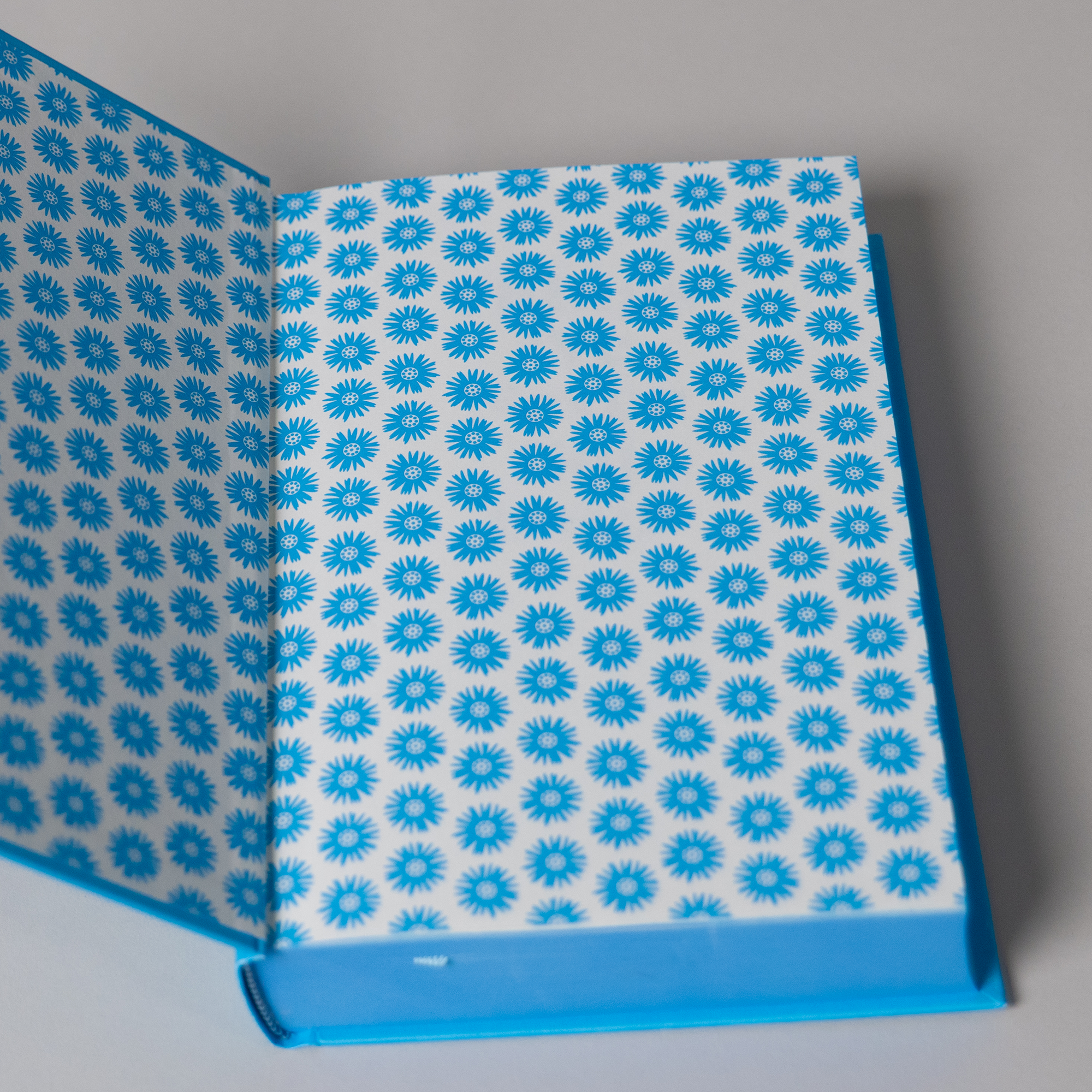 The endpapers, featuring a repeating blue daisy pattern.
